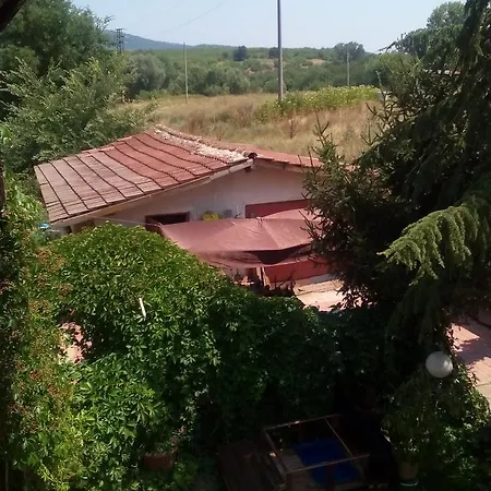 Oasis *